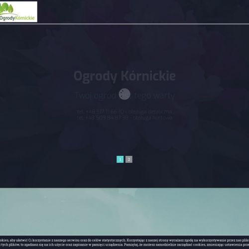 Trawy ozdobne szkółka w Poznaniu