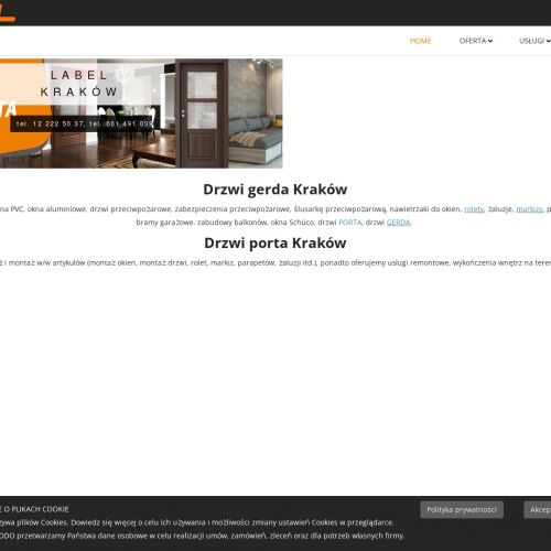 Drzwi porta w Krakowie