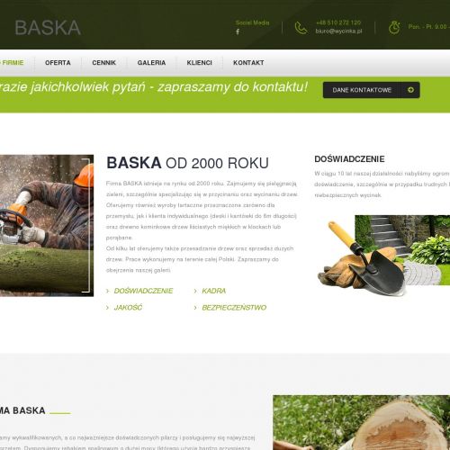 Wycinka krzewów śląskie - Katowice